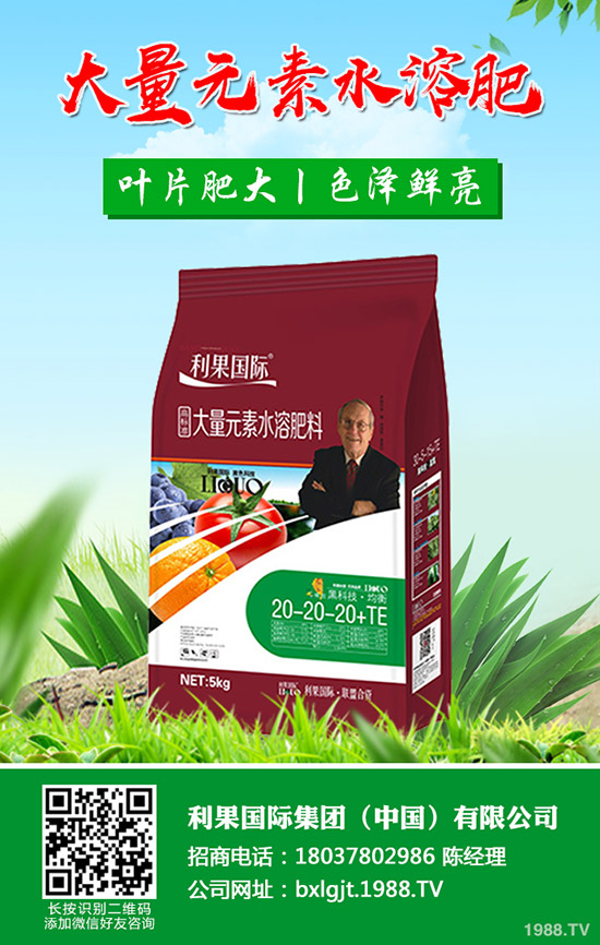 ���FƤʯ����ʲô��̎���FƤʯ���Ĺ�Ч�c��������Щ