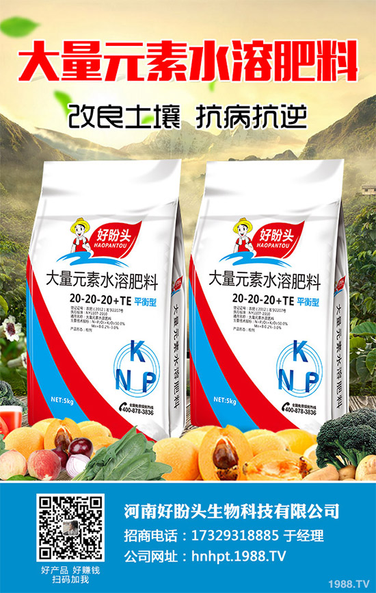 ������֪���Ľ�ɏ���p���ų����w11�N������