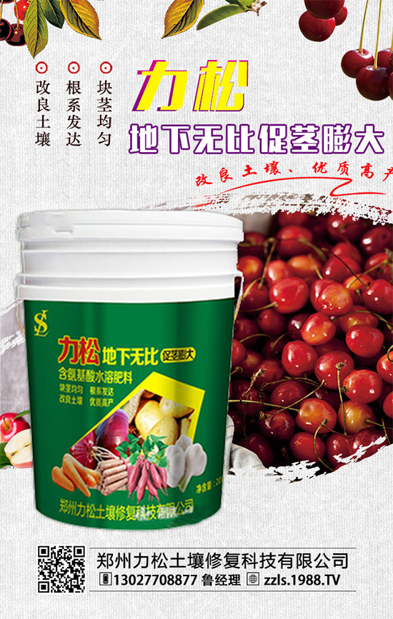     2019-12-4���@����(ch��)���M(j��n)��(d��ng)�����������@�r(ji��)������������(b��o)��