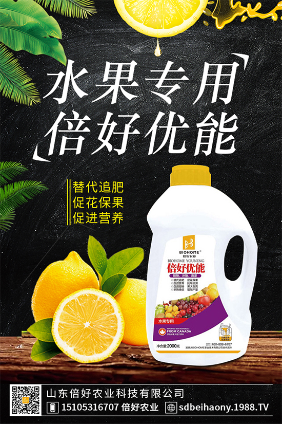 ľ��������Щ�I(y��ng)�B(y��ng)�r(ji��)ֵ��ľ���˵Ĺ�Ч����