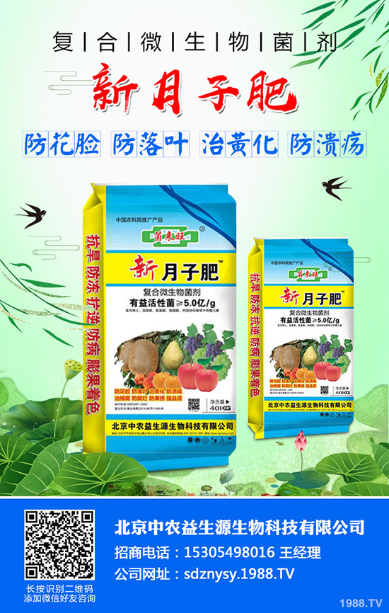     2019-12-5���@�����߄�ƽ��������������@�r�����