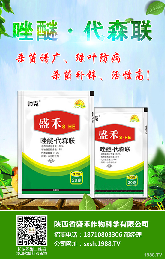 ����ù��