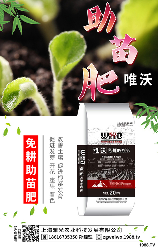     ɽˎʲô�r����գ�ɽˎ���A�ط�������Щ��