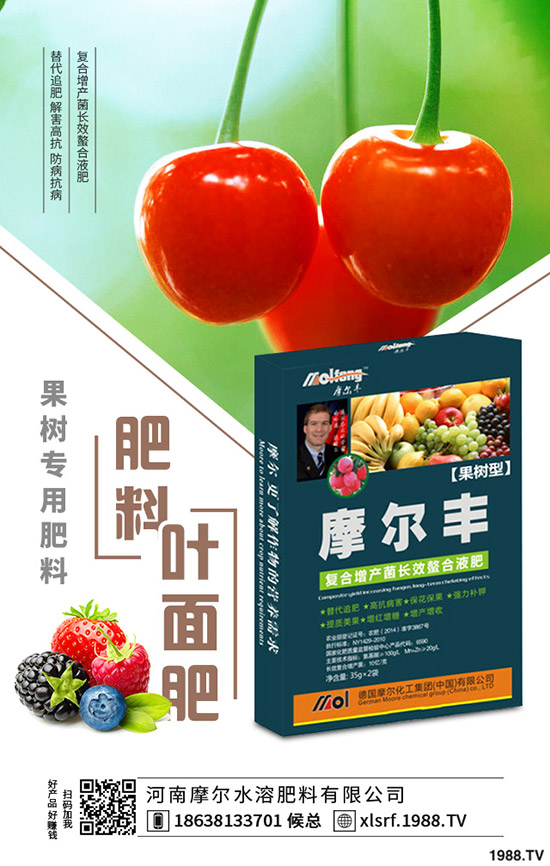 �S���Nֲ���ג겻���X���S���NֲҪ�c������