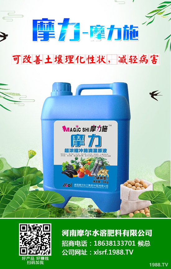 �����ʲô���Ϻ������ʩ�ʼ��g����Щ��