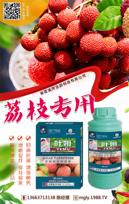 �t�탦(ch��)�ص��������t�탦(ch��)������Щ������