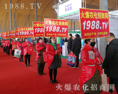     2019��30�úӱ�ֲ���������r(n��ng)���W(w��ng)Ҋ�C�ИI(y��)ʢ���ل�(chu��ng)�ѿ���