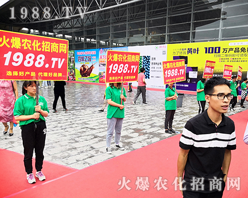     ���r(n��ng)�����̾W(w��ng)��2019�����r(n��ng)�Y��(hu��)�����G�ؼ����ի@�M�M