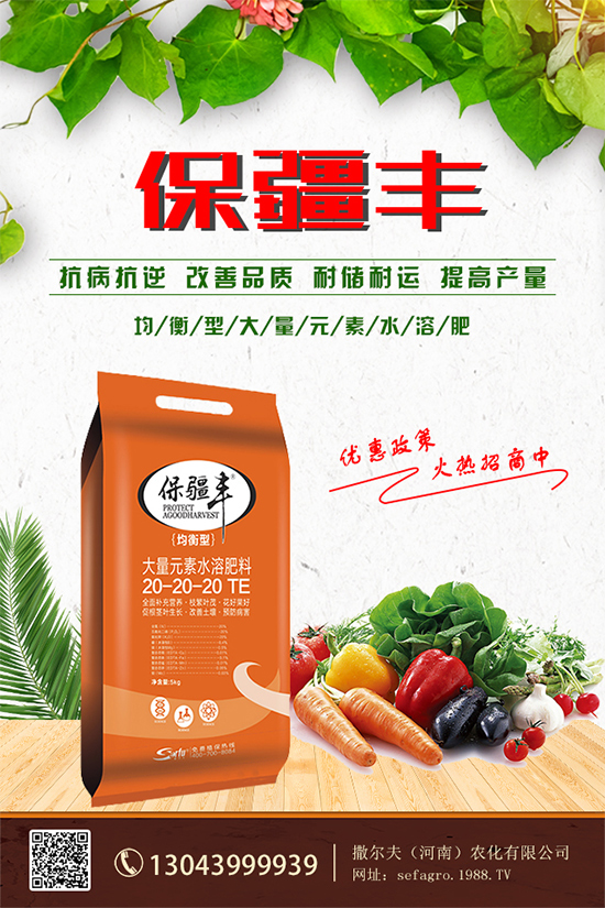 ���؃r����m(x��)�»������վֲ��^(q��)�������Ј�����2019��8��13��