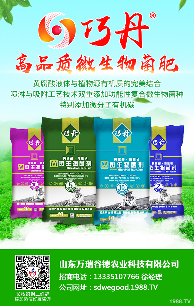 �z����˥��ô����Ч�������z����˥���η���