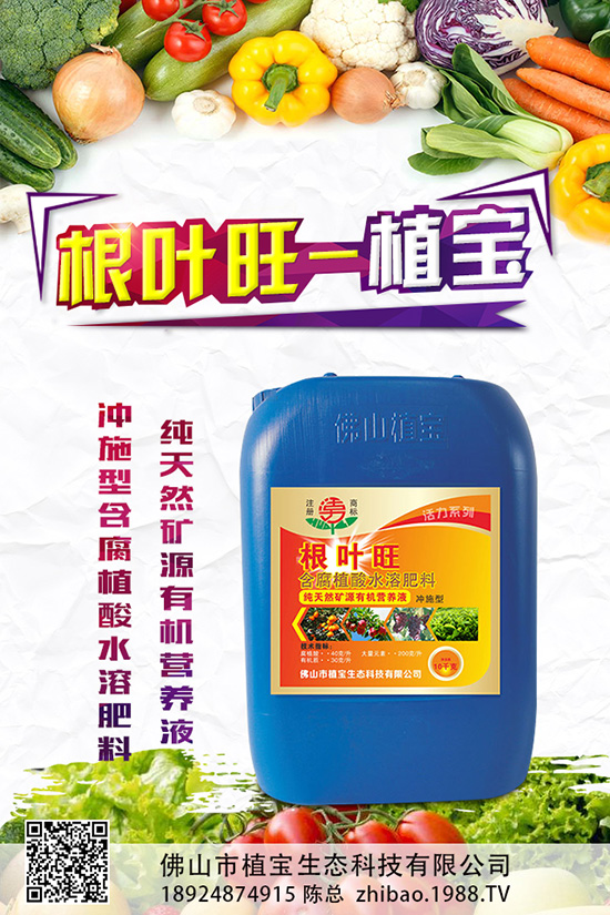 秋蘿卜什么時候種？該怎么種？2019秋蘿卜種植管理方案