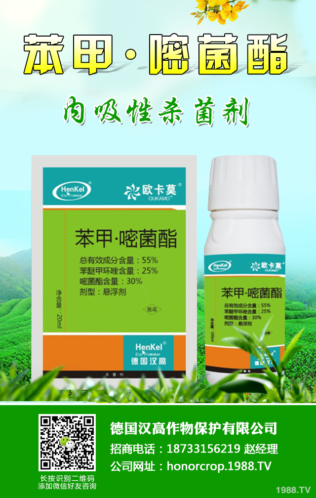 ���^���x(ch��ng)����ô�k�����^���x(ch��ng)�����κ÷���