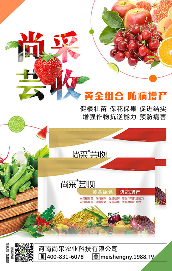 ����(sh��)�����ʵ͵�ԭ����ʲô�أ�����(sh��)��������������