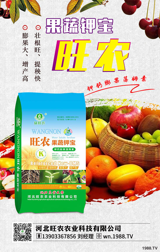 ��������ķNֲ�r�g������������������Ҫ�c����Щ��