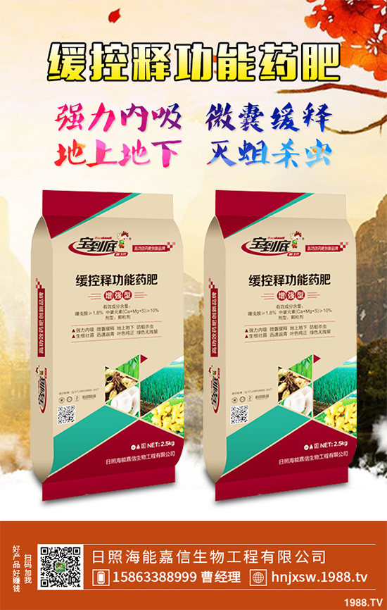 �۲�ԓ��ηNֲ��ע��Щʲô���۲˸߮a(ch��n)�Nֲ����