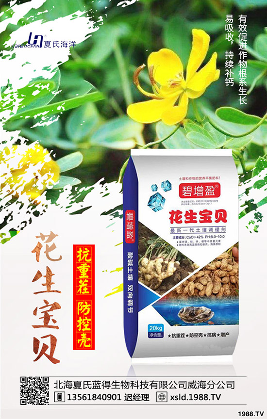 ���{(l��n)���Nǰ����������{(l��n)���߮a(ch��n)�NֲҪ�c(di��n)��