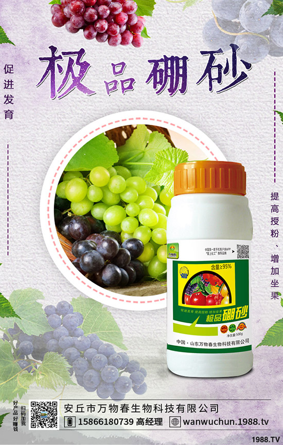 �����ηNֲ����轷Nֲ�l������Щ��