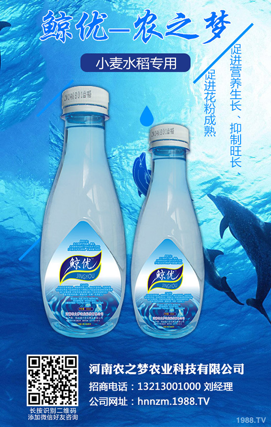 �۲˰߿ݲ�����ЩΣ����ԓ��η������۲˰߿ݲ��İl(f��)���c����