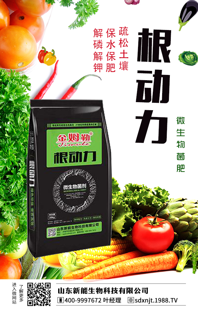 �R��������������νo�R���ʩ�ʣ�