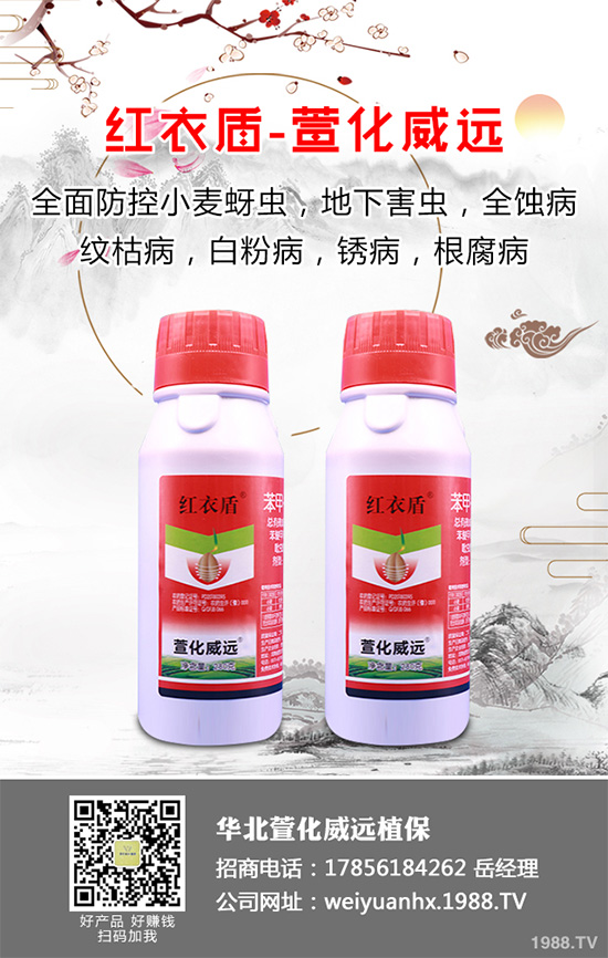     ����(sh��)�������r(ji��)��