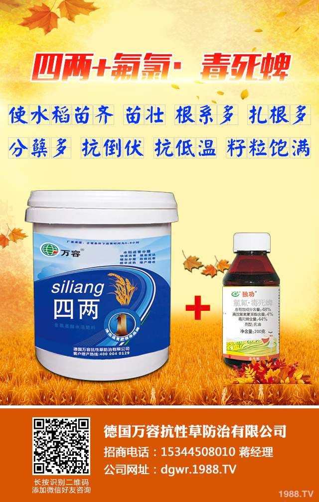 �������(l��i)���݄�������Щ���������(l��i)���݄���B