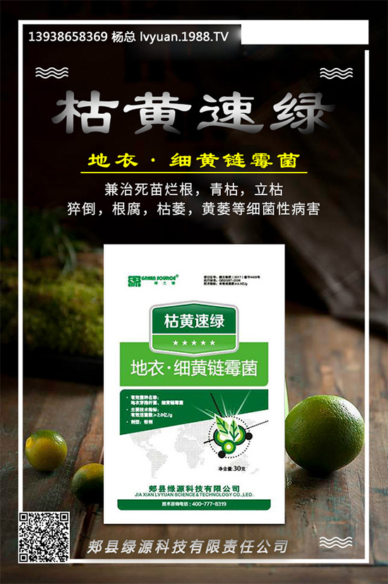 �۲����߲�����ЩΣ��������ΰl(f��)���ģ��۲����߲��İl(f��)���c����