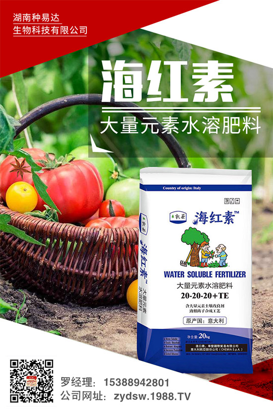 �＾��ݮ��ô�����＾�����ݮ�ĸ߮a���༼�g���h(hu��n)��Ҫ��