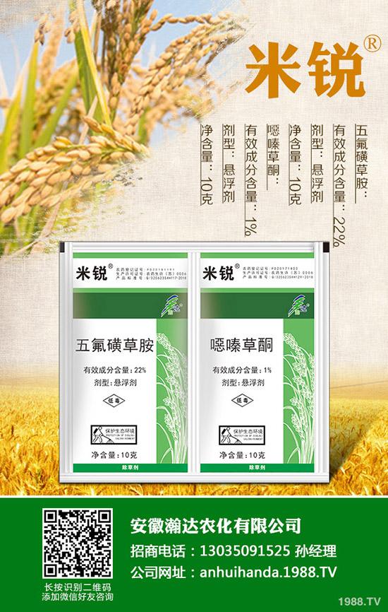 �Բ�������Щ��̎�����˵ĠI�B(y��ng)�rֵ����Щ��