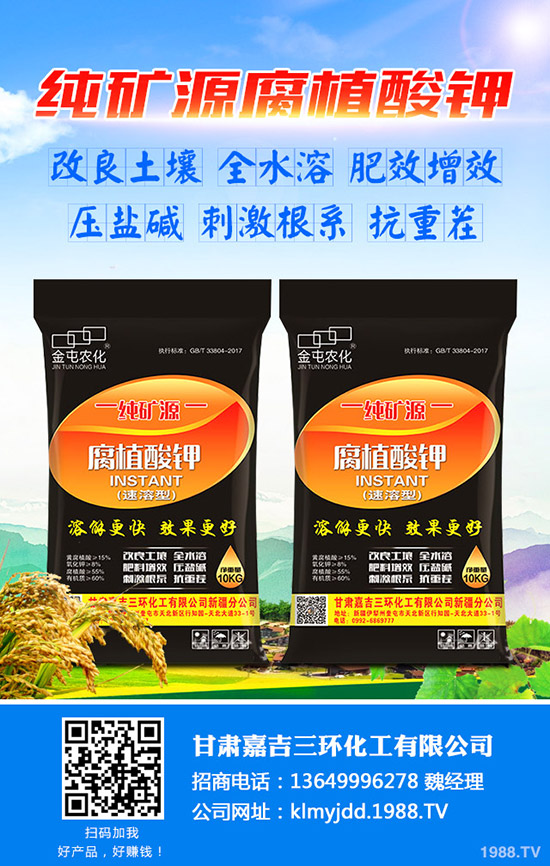     ��������(gu��)��(n��i)��(f��)�Ϸ��Ј�(ch��ng)�r(ji��)���Ӎ2019-8-30