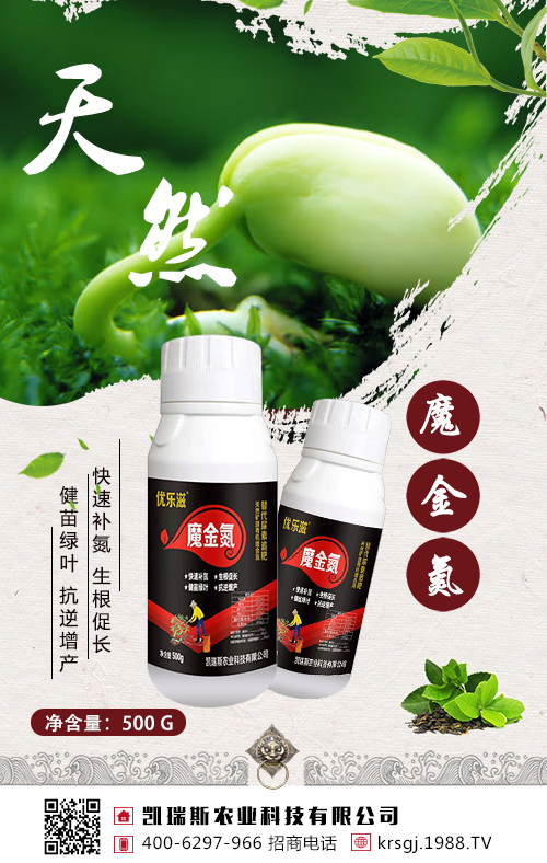 ���@��׷�����󶹸߮a(ch��n)����