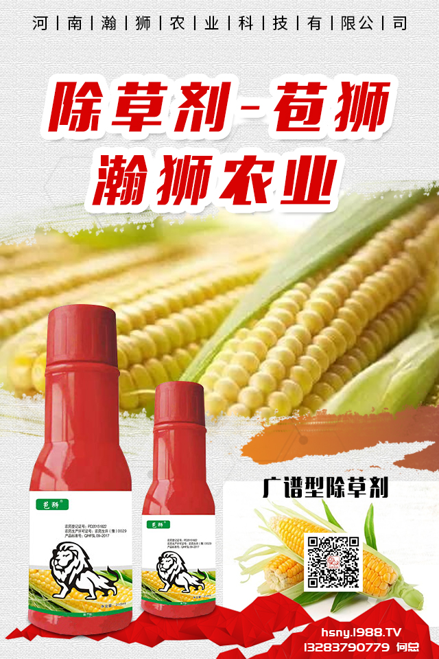 �������x����N���ò������������x����N����B