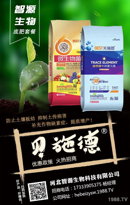 �Nֲ��횿������ǻ�����׷��ʩ�ʷ���