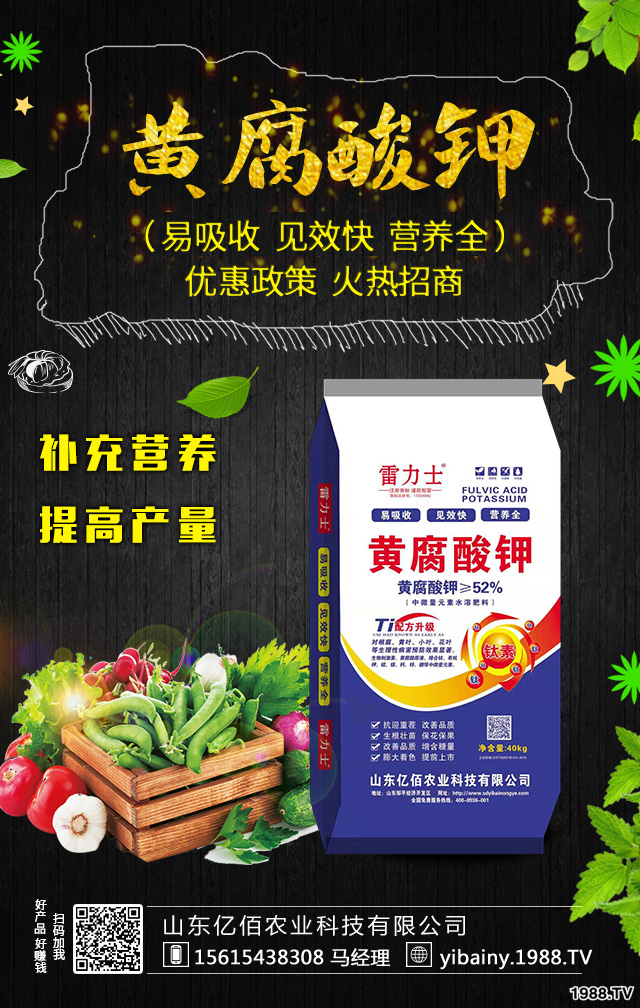 �������ʩ�ʼȽ�(j��ng)��(j��)���ֽY(ji��)���ࣿ