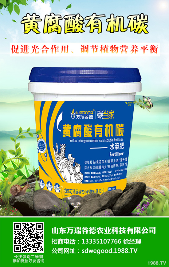     ��(f��)�Ϸʃr(ji��)��