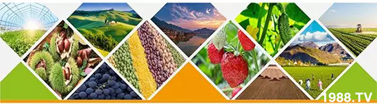 �����������L���߉��������ͷ���Ѹ������������ƌW(xu��)���L���g�޴���