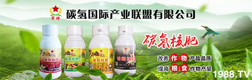 �����������L���߉��������ͷ���Ѹ����������ƌW(xu��)���L���g�޴���