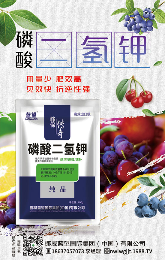 ������t����ֲע����헣�������t������ڹ�������