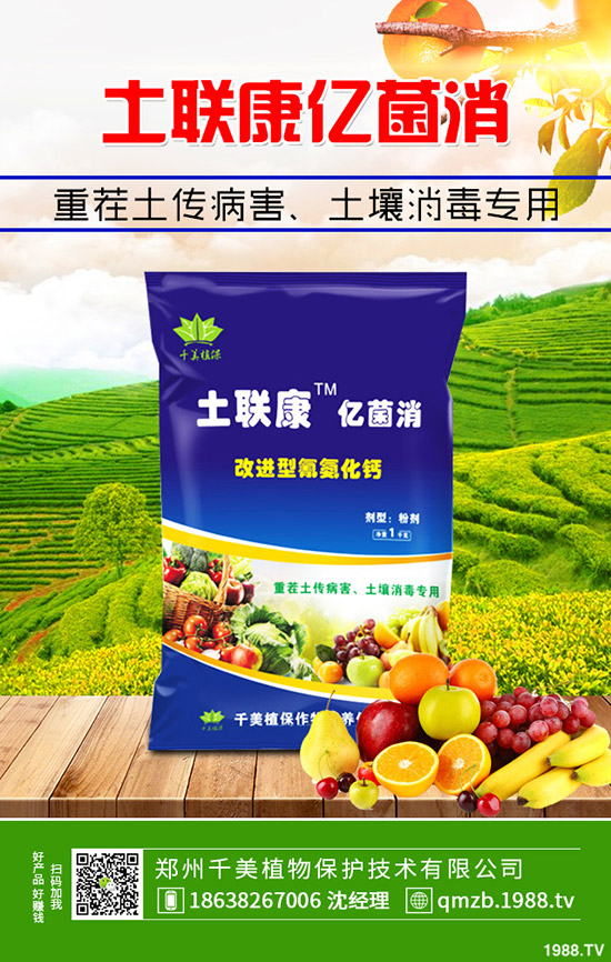     �＾����������ι������＾����������ֲ�������g(sh��)��