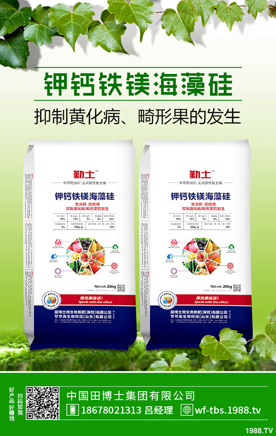 �ﶬ�����S����ηNֲ���ﶬ�S�ϵķNֲ����������������