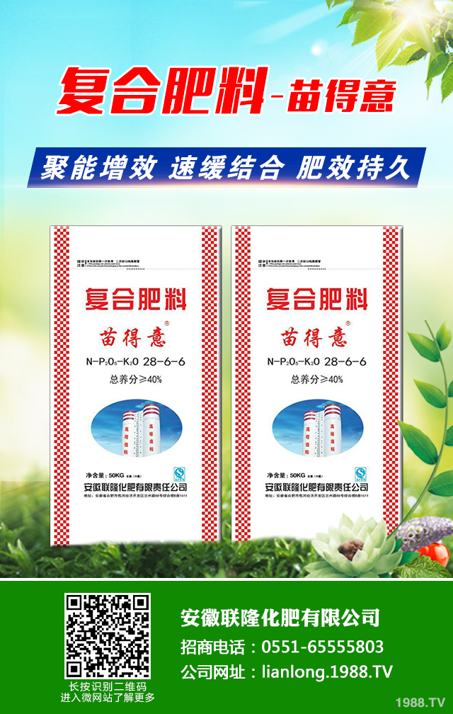 �t��������ô�������t������ȫ�����