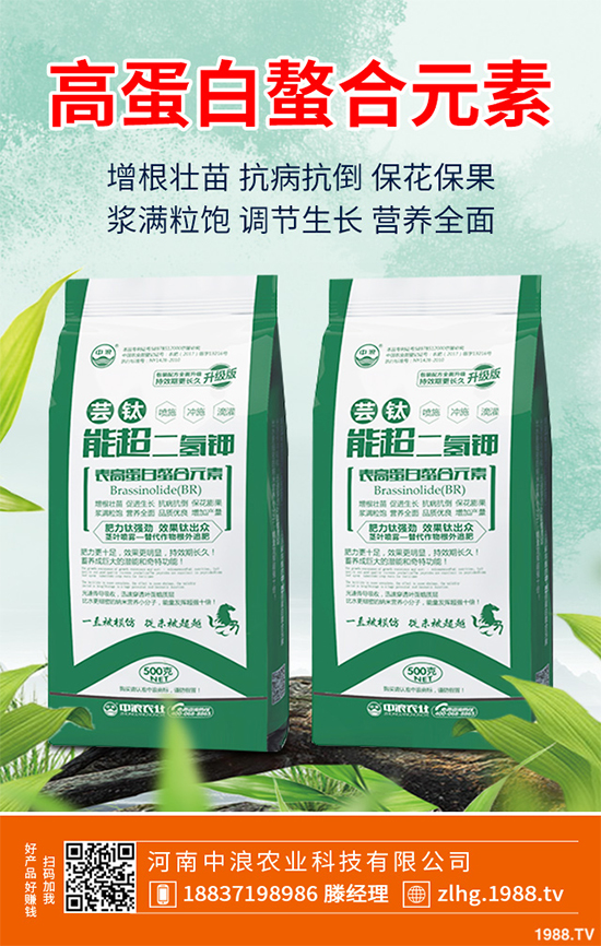 ���ʲô�r��NֲЧ����ã���˸߮a(ch��n)�Nֲ���g(sh��)Ҫ�c(di��n)