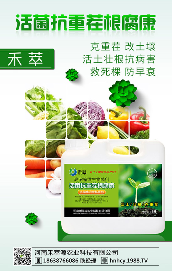 ����÷��ô�޽�������÷�޽ӷ�����