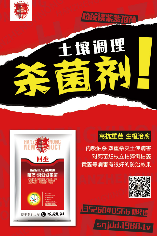 茄子土傳病害怎么辦？茄子嫁接可避免土傳病害