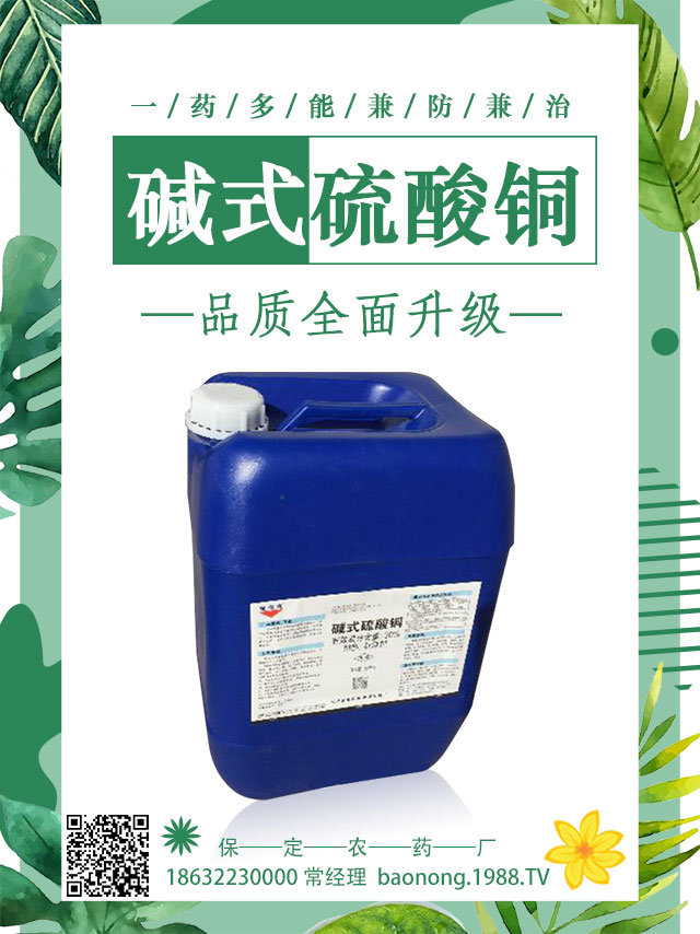 茄子土傳病害怎么辦？茄子嫁接可避免土傳病害