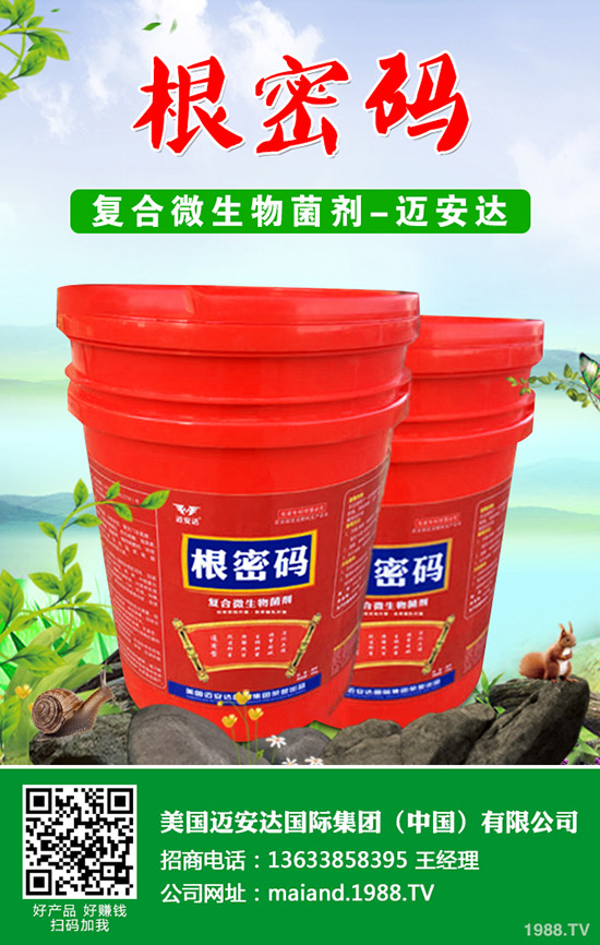 �����Jʲô�r��Nֲ�������J�Nֲ���g(sh��)��