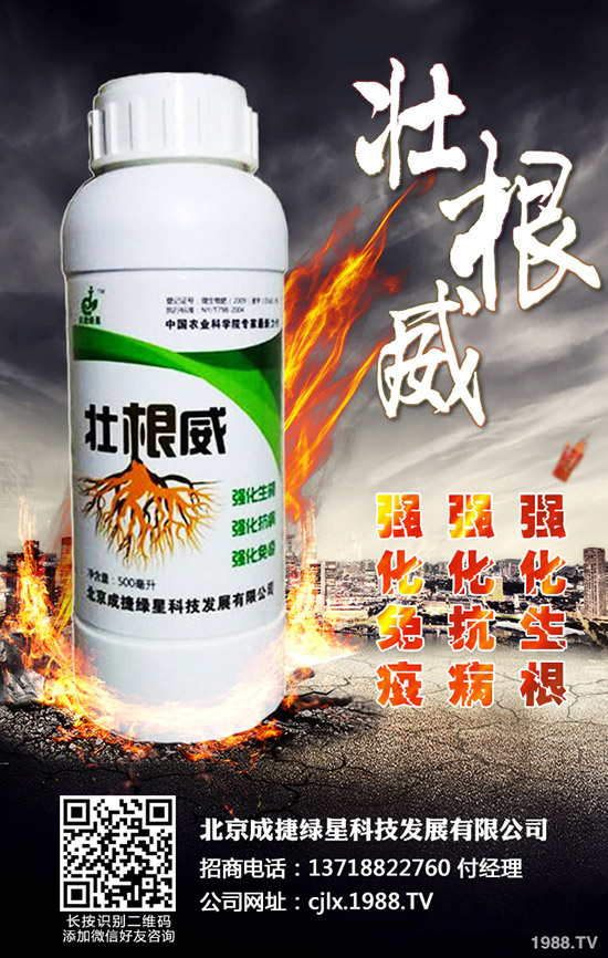 �ཷ�ķNֲ��������Щ���ཷ�Nֲ�^(gu��)������Ҫע��Ď״�(w��n)�}