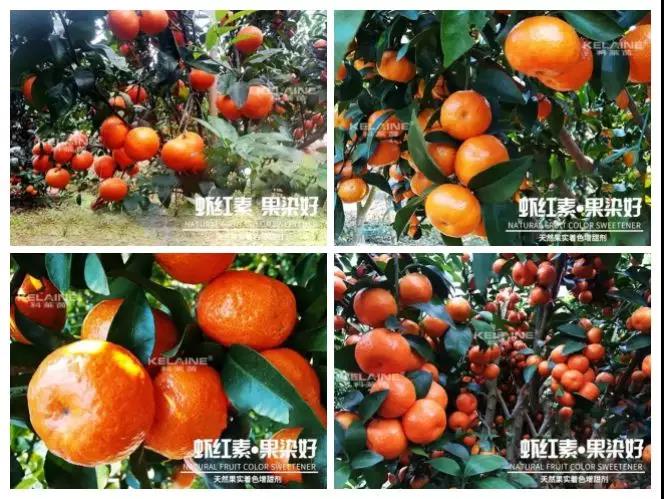 ��Ȼ����(sh��)��ɫ�����������r�t�ء��Ⱦ�ã�