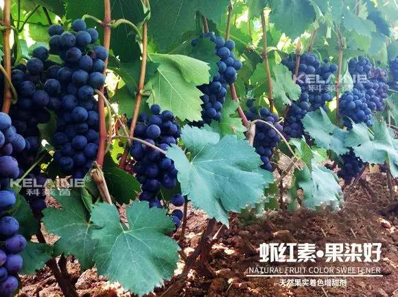 ��Ȼ����(sh��)��ɫ�����������r�t�ء��Ⱦ����