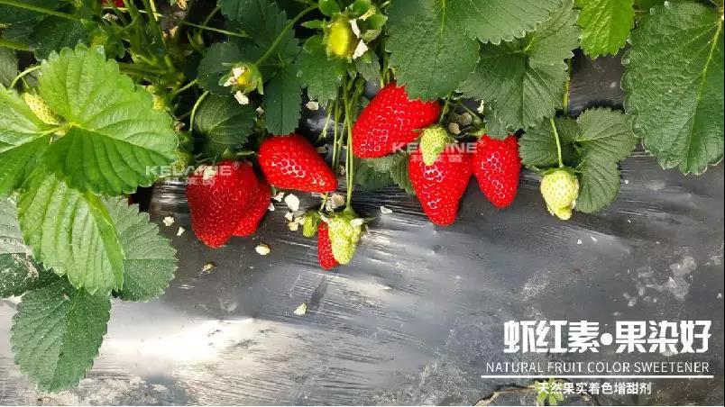 ��Ȼ����(sh��)��ɫ�����������r�t�ء��Ⱦ����