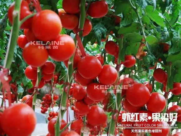 ��Ȼ����(sh��)��ɫ�����������r�t�ء��Ⱦ����